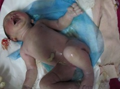 拍摄于2011年4月26日19时18分。出生约4分钟